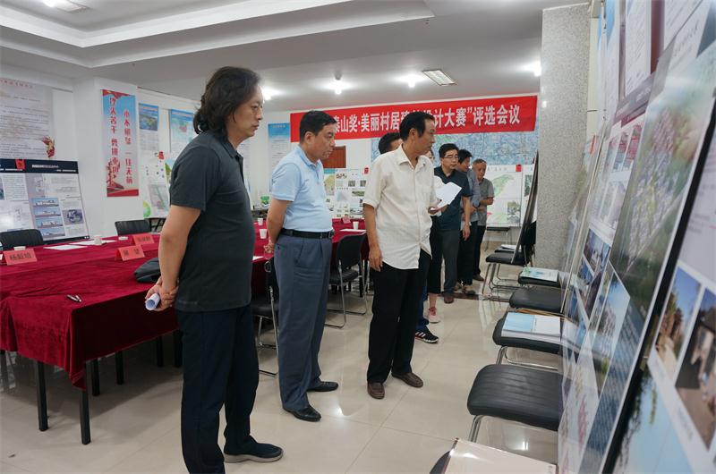 美麗村居設(shè)計(jì)大賽風(fēng)云起 八仙過海顯神通(圖6)