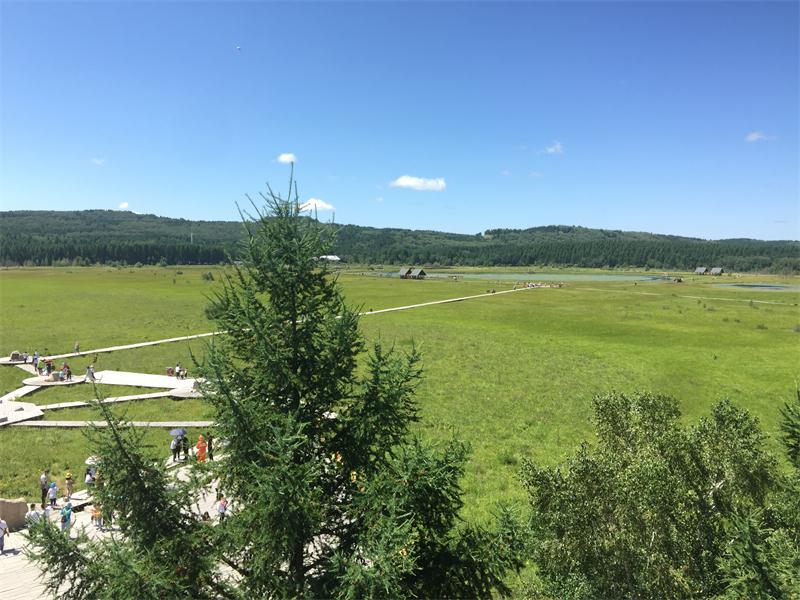 塞罕壩明珠七星湖 詩情畫意似仙境(圖7)