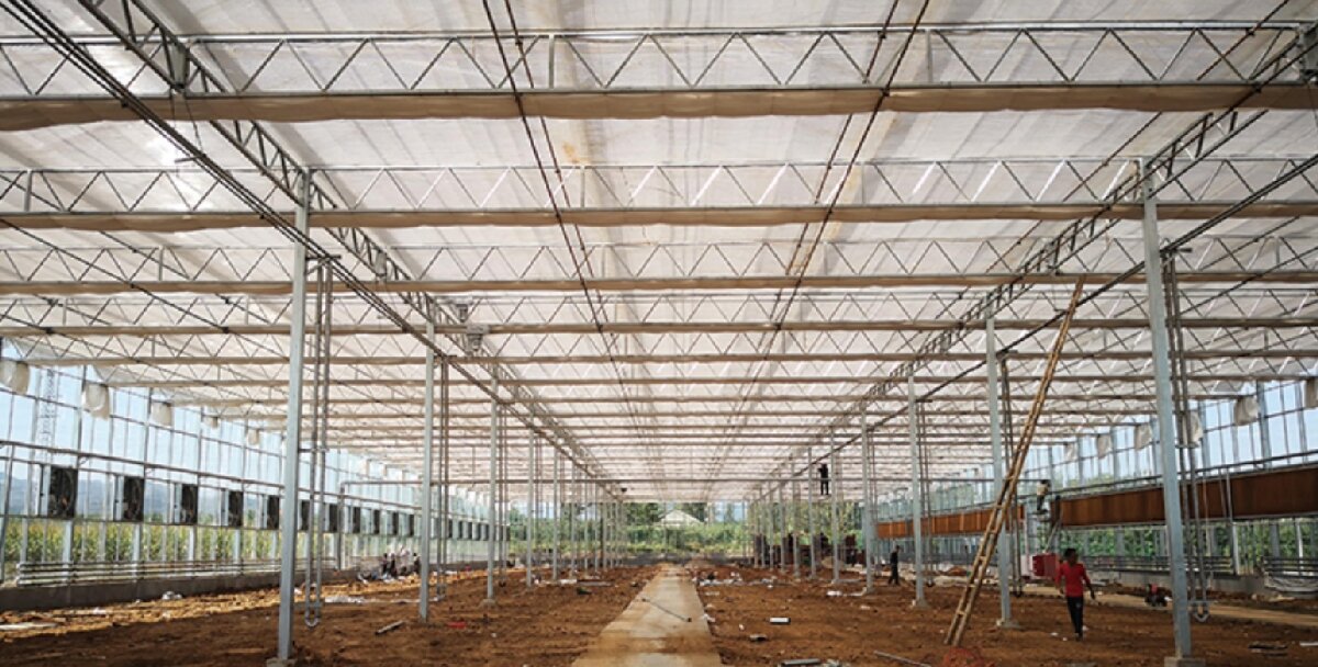 信橋鋼構(gòu)：打卡蒙陰農(nóng)業(yè)溫室大棚、青州黑牛養(yǎng)殖基地！(圖3)